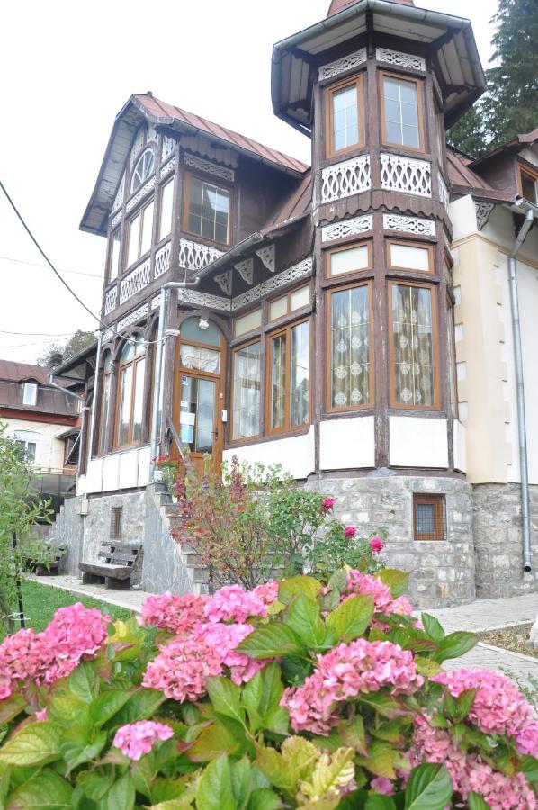 Vila Bradet Buşteni Εξωτερικό φωτογραφία