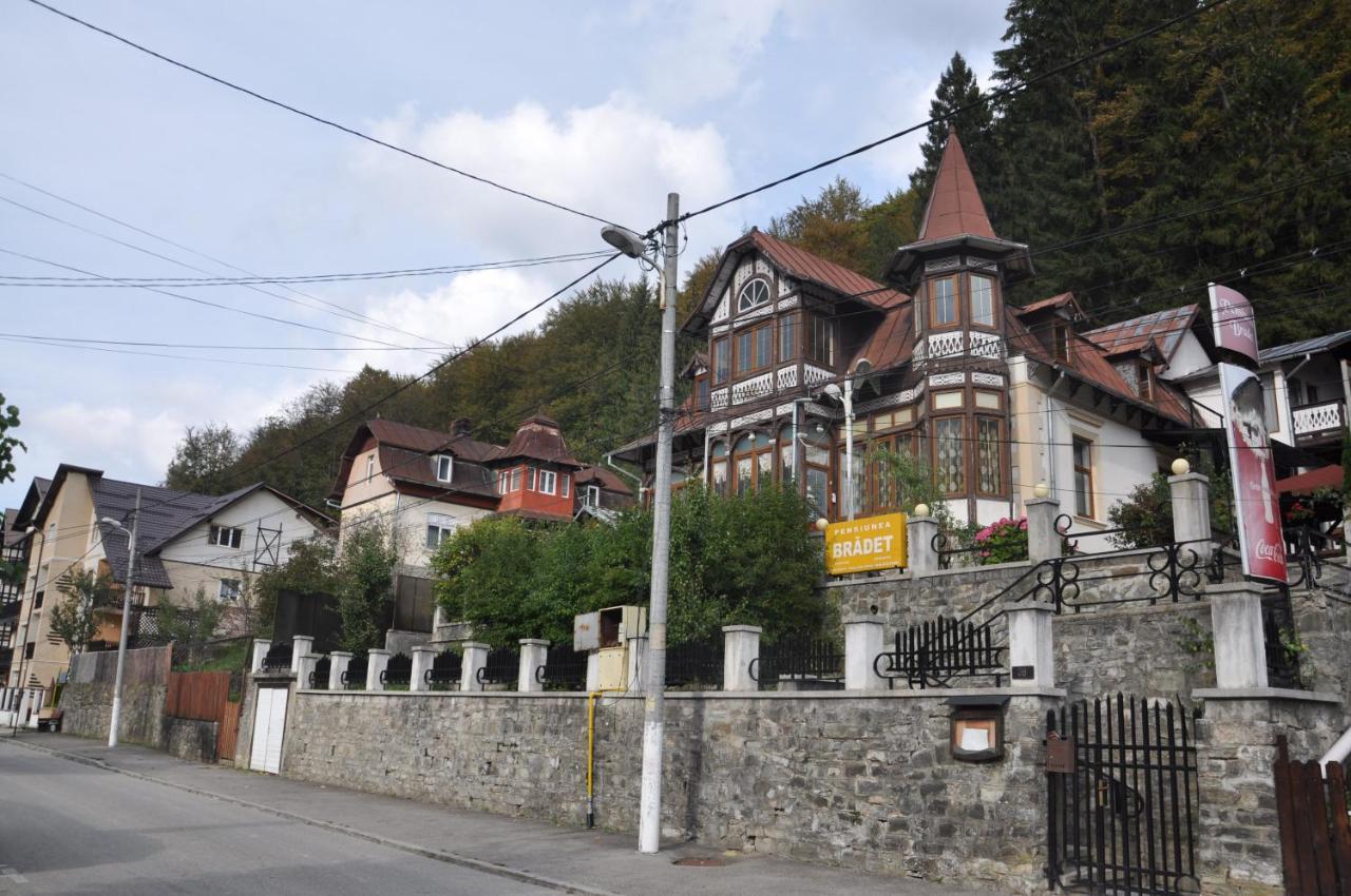Vila Bradet Buşteni Εξωτερικό φωτογραφία