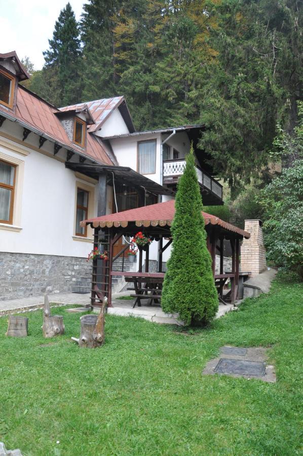 Vila Bradet Buşteni Εξωτερικό φωτογραφία