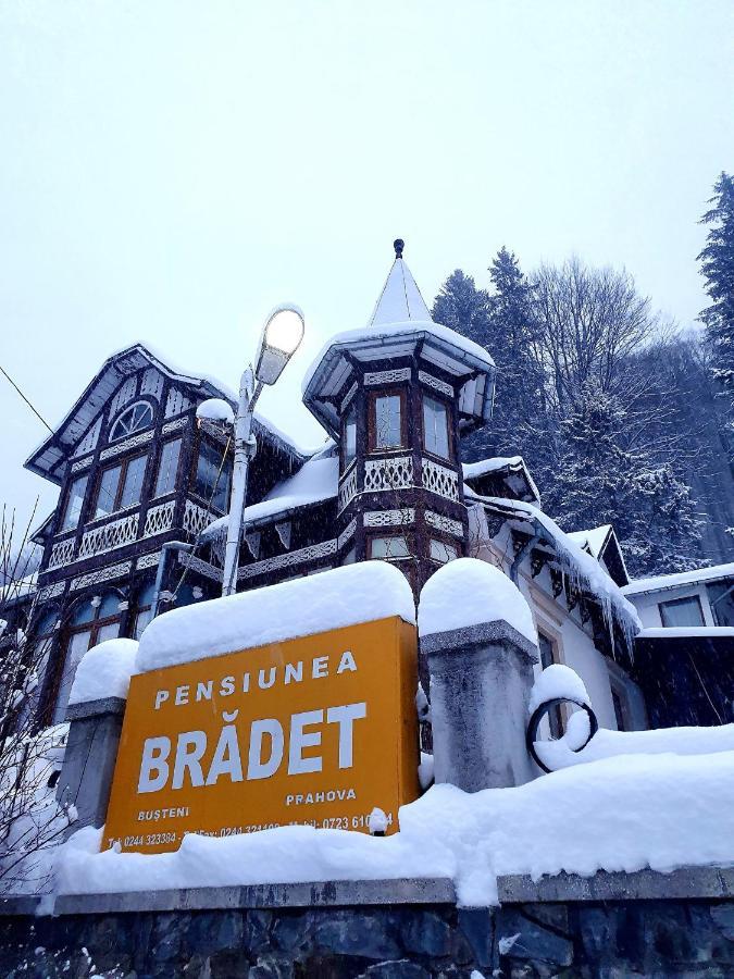 Vila Bradet Buşteni Εξωτερικό φωτογραφία