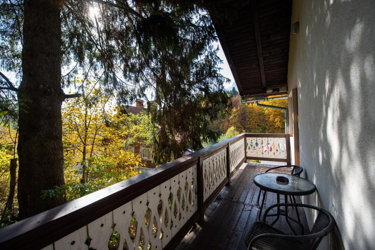 Vila Bradet Buşteni Εξωτερικό φωτογραφία